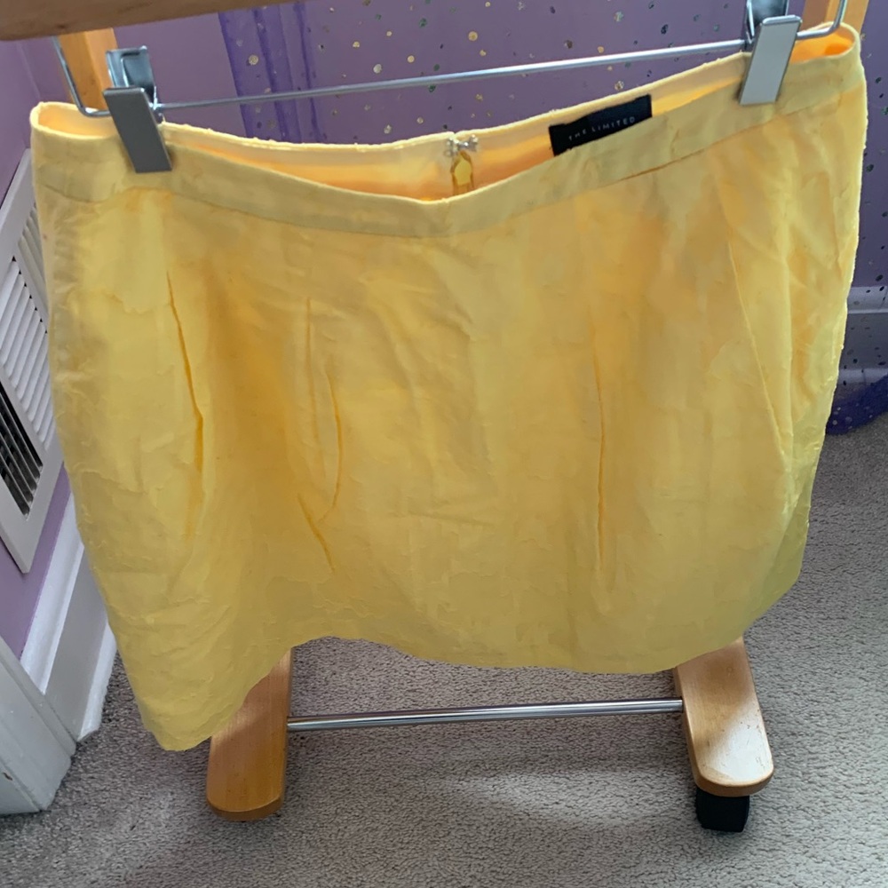 The Limited petite Small skirt.